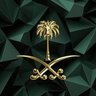 Profilbild von ملاذ الوطن 🇸🇦