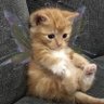 2xianqiao profil fotoğrafı