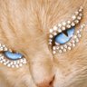 نور الهدى's profile picture