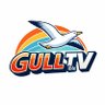 Norbert 'Gully' Graystone 的头像
