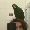 Dominika 🦜🦒🐧🐬🪶🦫 profil fotoğrafı