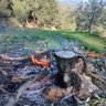 Фото профиля أبوعبدالله الجزائري