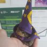 mr tea the Pyxicephalus adspersus's profile picture