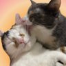 monkey & zoe ❤️ oreo 🌈 profil fotoğrafı