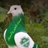 Profilbild von ابو مازن الشهري