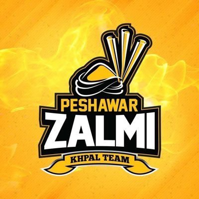 We Are Zalmi's profile picture