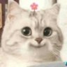 Profilbild von del