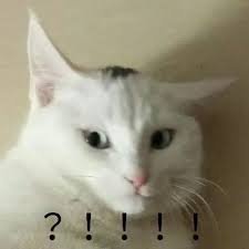 Woooooooowilike's profile picture