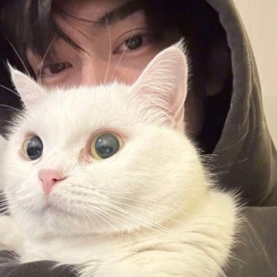 こ's profile picture
