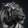 Dino V's profile picture
