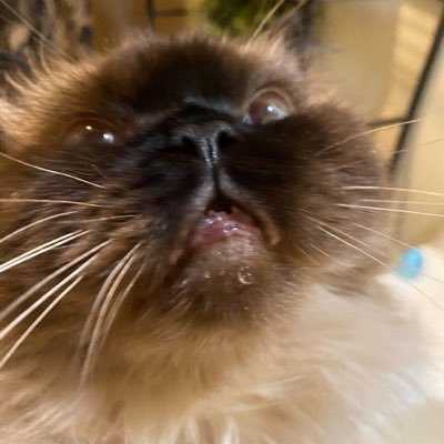 cashy!!! 🧸🪷🤍 jasper's profile picture