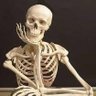 dan's profile picture