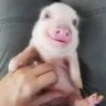 Profilbild von Terry