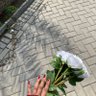 Profilbild von R