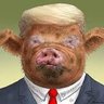 PIG MAGA's profile picture