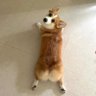 หนูพุกของคุนสรุจ˚ ༘ profil fotoğrafı