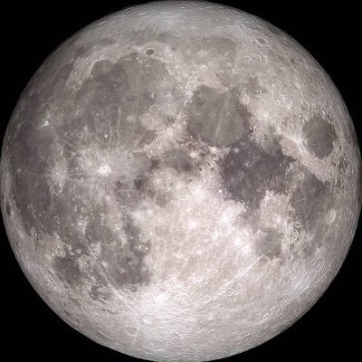 lucentlex's profile picture