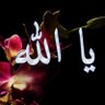 Bahaa's profile picture