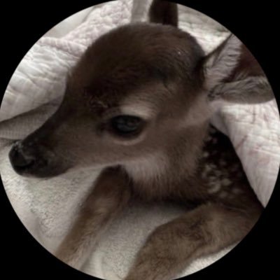⋆. 🤍 ˚࿔ Winona 𝜗𝜚˚⋆'s profile picture