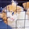 Lèé's profile picture