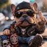 Steppenwolf's profile picture