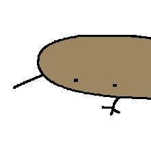 New_Zeal_kiwi's profile picture