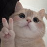 H's profile picture