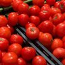 TOMA🍅's profile picture