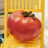 Фото профиля 🍅tomato🖤💙