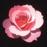 Profilbild von epsilon