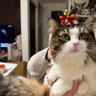 akotan0114 profil fotoğrafı