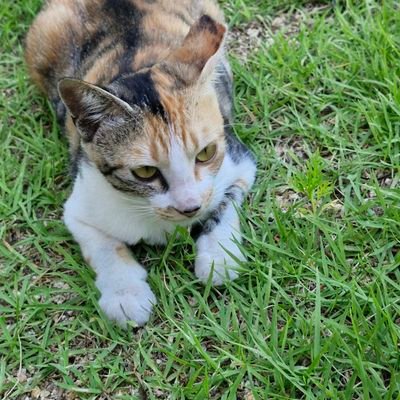 aina0660's profile picture