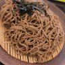 草のねっこ 的头像