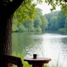 طائر النورس profil fotoğrafı
