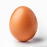 Profilbild von Egg
