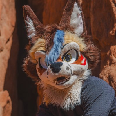Dogged Dapper 🔜 LVFC's profile picture
