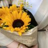 زندگی آواز دیتی ہے profil fotoğrafı