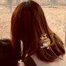 吾輩はねこであるニャ profil fotoğrafı