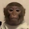 ชาวเด้อ's profile picture