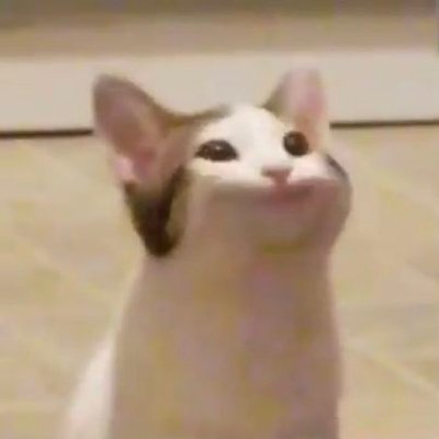 이씨네's profile picture