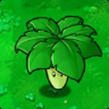 umbrella leaf 🔜's profile picture