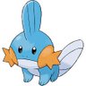Mudkip profil fotoğrafı