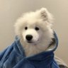 noru's profile picture