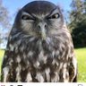 Profilbild von Me