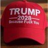 Profilbild von 🇺🇸America first 🇺🇸