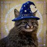 Smug Cat Wizard's profile picture