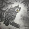 Strix 的头像