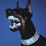 Profilbild von TheOnlyOne