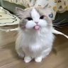 Фото профиля Antidepressant Cats