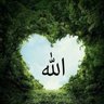عبد الغفور 的头像